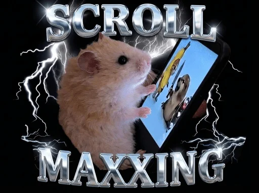 hamster scrolling